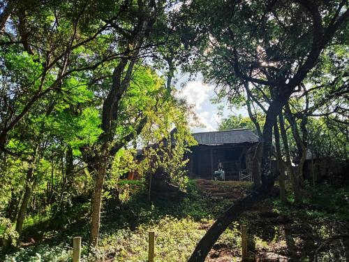 Exterior view of Timbaktu River Cottages