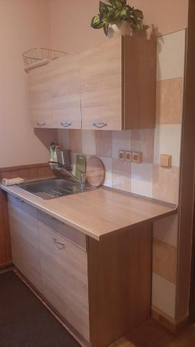 Cocina, Guest House Vila Frydstejn in Frydstejn