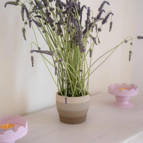  Mairoula apartments! in Koroni