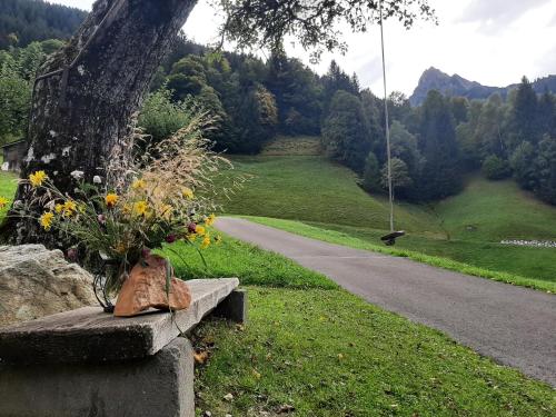 Bergmomente Montafon Ferienhaus Bitschweil