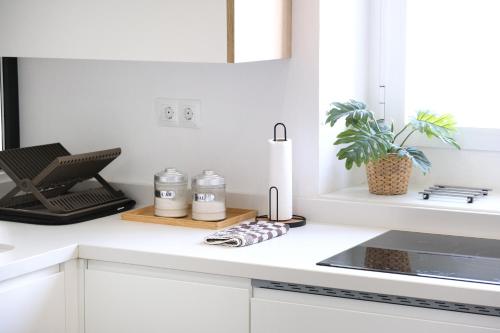 AOVE Suite in Jaén