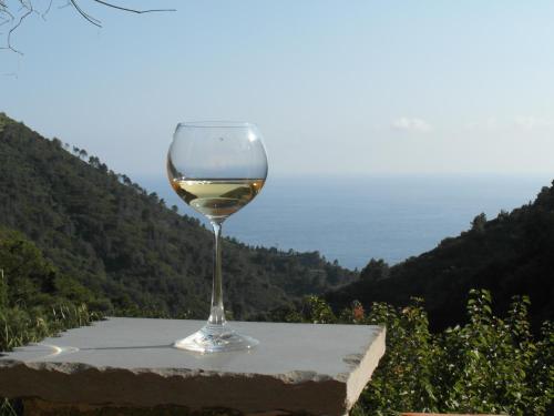 Agriturismo Costa di Campo chambre d'hôte Vernazza