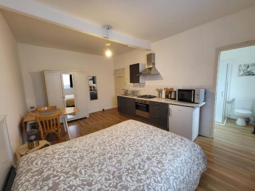 Studios idéalement situés - EU (Studios idealement situes - EU) near Autoworld Múzeum