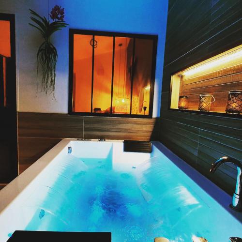 SAUNA, BALNEO, TERRASSE, PARKING, Le tout totalement privé dans maison indépendante à la décoration soignée, ensoleillé et sans vis à vis, Prise VE, Calme et discrétion Garantis, Idéalement situé pour visiter la région, Animaux bienvenues