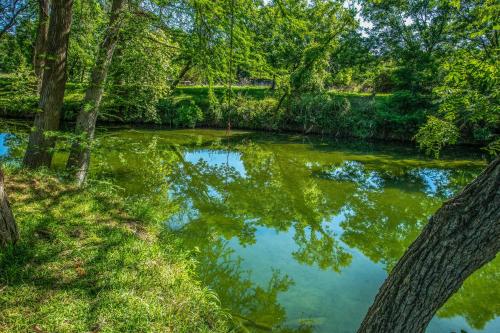 Clear River Cabin on Medina