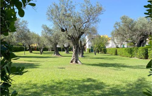  Pet Friendly Apartment in SantʼAndrea Apostolo dello Ionio