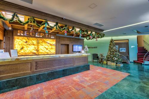 Lobby, Hotel Ambient in Brasov