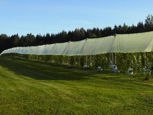 Iekārtas, Mornamaa puumaja Pesä 1 (Mornamaa puumaja Pesa 1) in Ainja