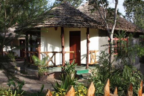 The Vijiji Center Lodge & Safari