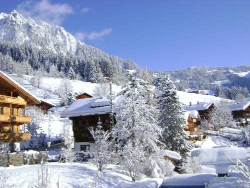 Appartement Alpina in Alpbach