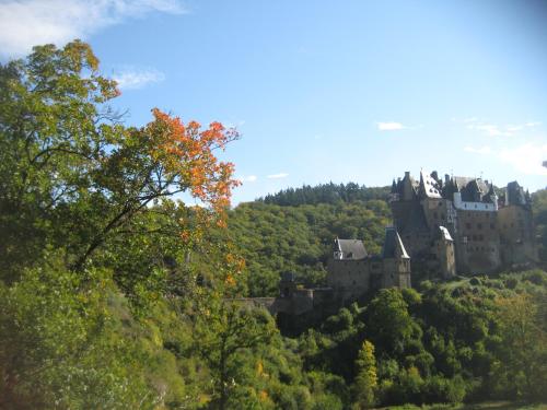 Ferienwohnung Maifeldtraum