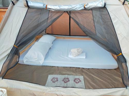 Touristlink Homestay