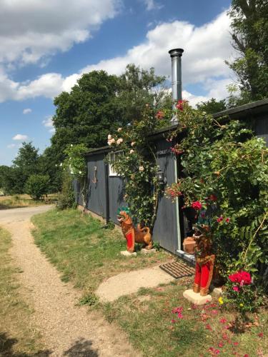 Adorable Hideaway with log fire and incredible views - Hotel - Robertsbridge