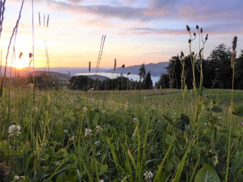 Ferienwohnung Träumli in Aeschi