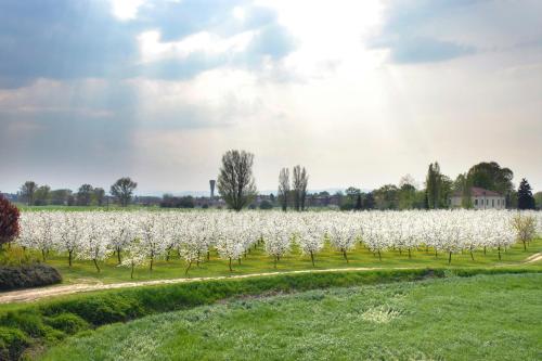 Hotel del Rio Srl - RISTORANTE e Azienda agricola