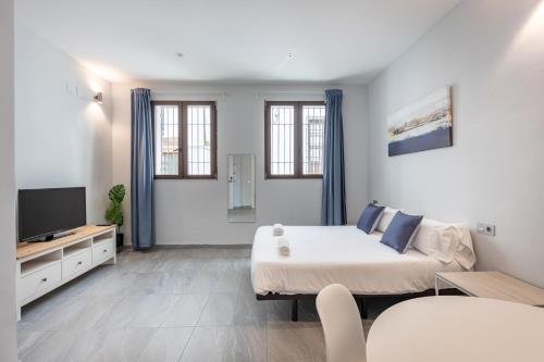 Apartamentos Realejo Granada Centro 3000, Granada (fotografie 2)