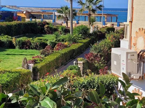 Excellent location sea and garden view super Lux موقع متميز المعموره الشاطىء و كبير الحجم للعائلات فقط سوبر لوكس مع كارنيهات بوابه الدخول طول العام و الشاطىء الخاص من اول مايو لآخر اكتوبر ويوجد خدمه نزلاء لراحتك