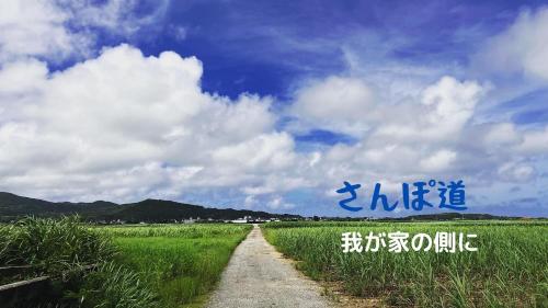 投稿画像 3