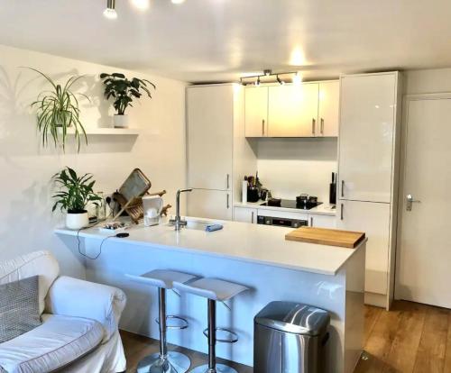 Cosy and Quiet 1BD Flat - Rotherhithe