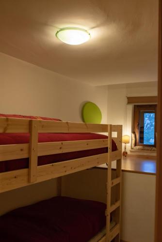 Guest Art Campitello Matese