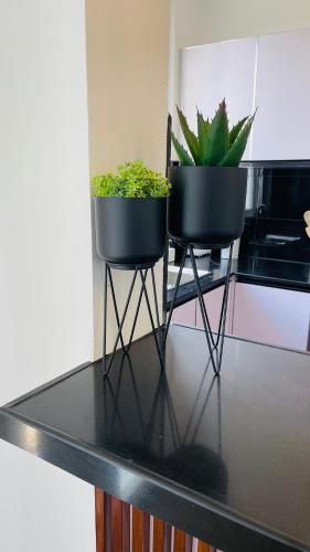 One-Bedroom Apartment image 10