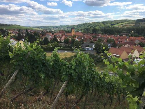 Ferienwohnung Weinbergsblick optimale Stadtnähe