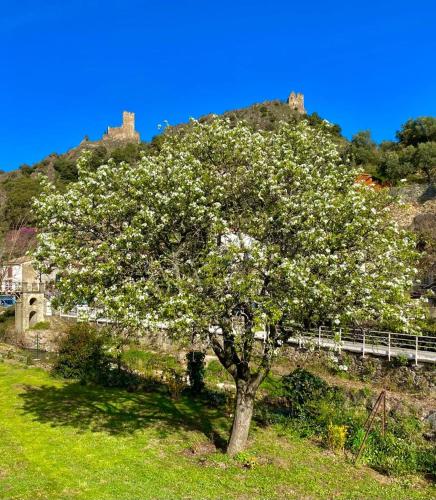 4 star CABARET Lastours 4 Châteaux amazing Cathar landmark Private luxury 4 Star air conditioned Terrasse with views