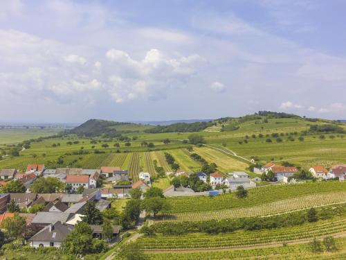 Weingut & Gästehaus zum Seeblick - Familie Sattler