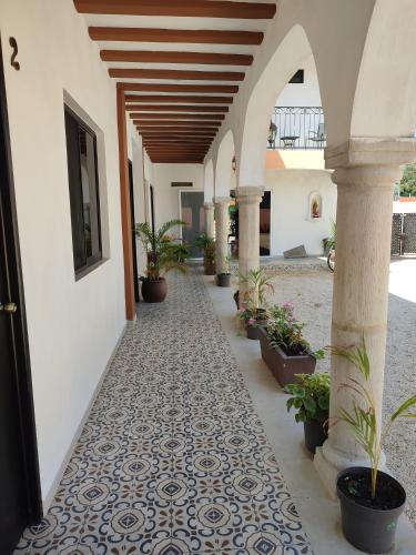 Hotel Casa Henequen in Sta Lucia