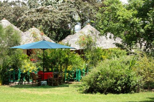 The Vijiji Center Lodge & Safari