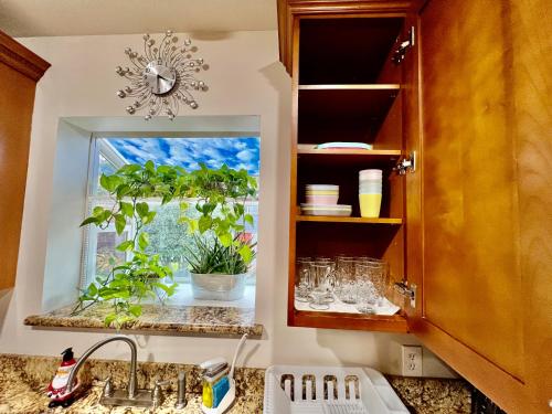 Seattle Home with 2 bedrooms a King bed Queen bed and an Extra Sofa Bed Located 10 minutes from SeaTac Airport and 20 minutes from Downtown Seattle Home with 2 bedrooms a King bed Queen bed and an Extra Sofa Bed Located 10 minutes from SeaTac Airport and 20 minutes from Downtown