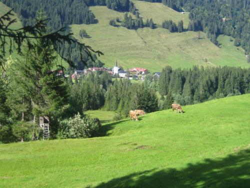 Kienle - das Krauterhotel