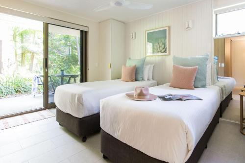 Tea Trees One Little Cove