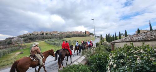 Tenuta Colombaio