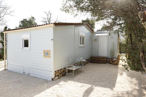 Refuge 82