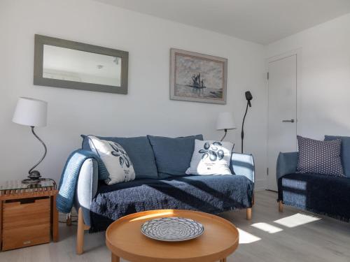 4 Blue View - image 11
