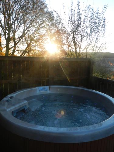 Silver Birch Lodge with Hot Tub - Chalet - Cupar