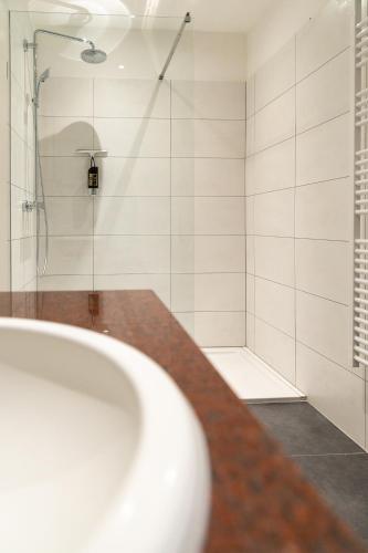 Schiefer Hotel - image 11