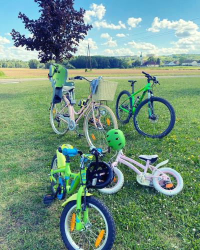 Landhotel Stegersbach - image 14