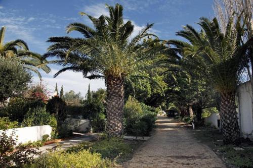 Lovely villa in the gorgeous Porto Hydra