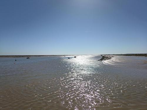 Vacance La Tremblade - Location saisonnière - La Tremblade