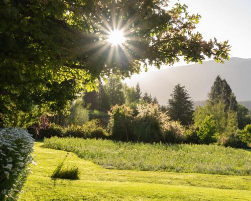 A környék, Sukal in El Bolson