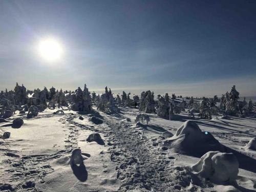 VIP Luostonkehto, Wi-Fi, ilmastointi in 索丹克萊