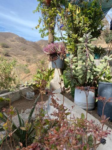 ห้องน้ำ, Kasa di Terra in รุยวาซ