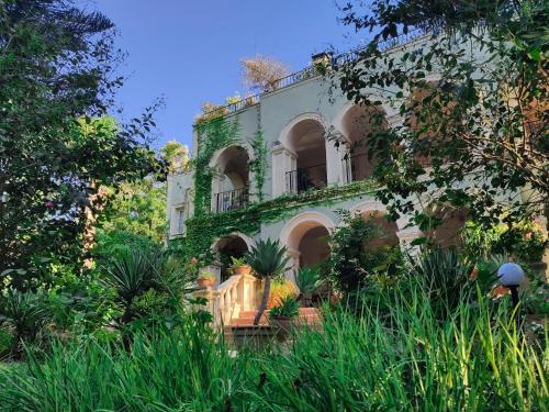 Babil Bahceleri - Gardens of Babel Babil Bahceleri - Gardens of Babel