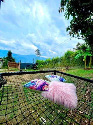 Cabaña Tierra Grata Copacabana, Medellin