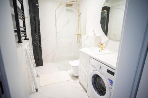 Apartament Powidz