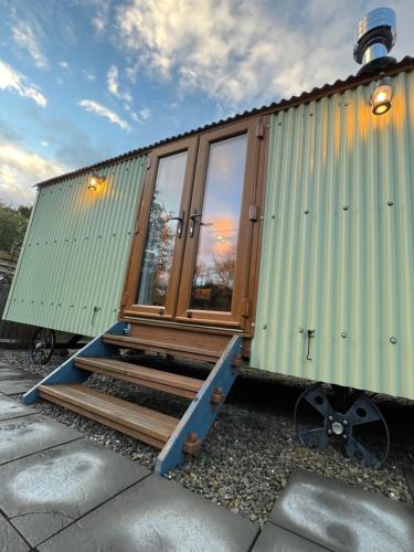 The Daffodil Shepherd's Hut, Bluebell