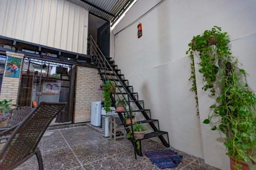 Doña Nelly Doña Nelly