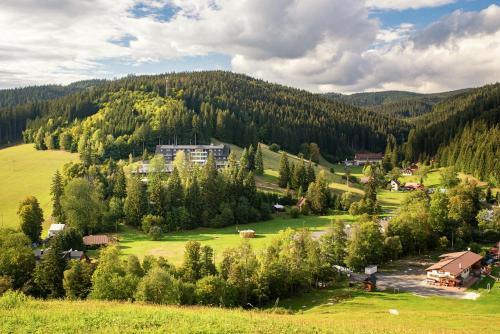 Spa hotel Lanterna - Hotel - Velké Karlovice